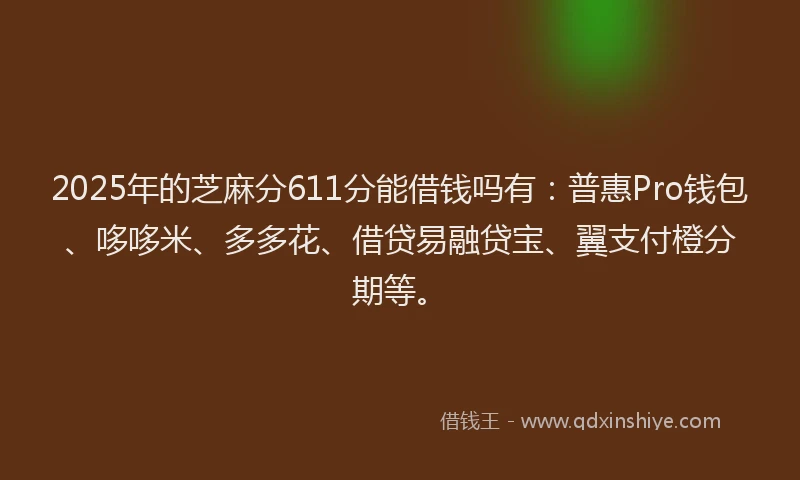 2025年的芝麻分611分能借钱吗有：普惠Pro钱包、哆哆米、多多花、借贷易融贷宝、翼支付橙分期等。