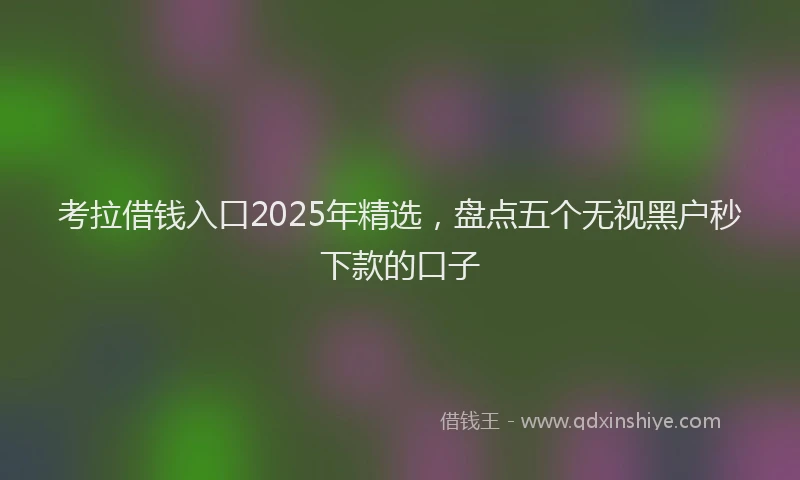 考拉借钱入口2025年精选，盘点五个无视黑户秒下款的口子