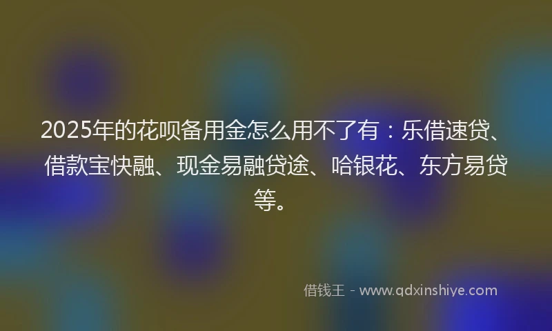 2025年的花呗备用金怎么用不了有：乐借速贷、借款宝快融、现金易融贷途、哈银花、东方易贷等。