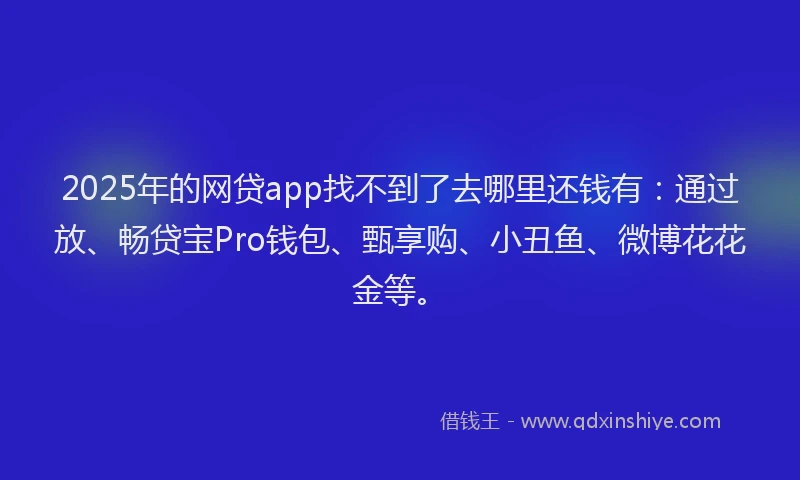 2025年的网贷app找不到了去哪里还钱有：通过放、畅贷宝Pro钱包、甄享购、小丑鱼、微博花花金等。