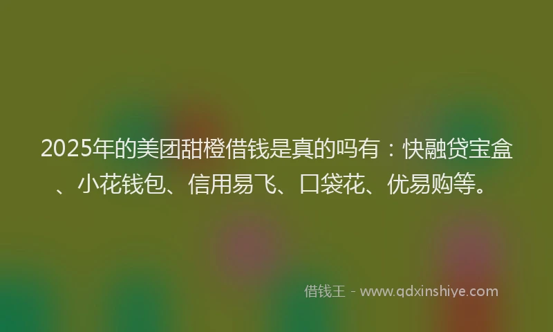 2025年的美团甜橙借钱是真的吗有：快融贷宝盒、小花钱包、信用易飞、口袋花、优易购等。