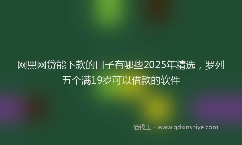 网黑网贷能下款的口子有哪些2025年精选，罗列五个满19岁可以借款的软件