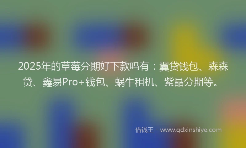2025年的草莓分期好下款吗有：翼贷钱包、森森贷、鑫易Pro+钱包、蜗牛租机、紫晶分期等。