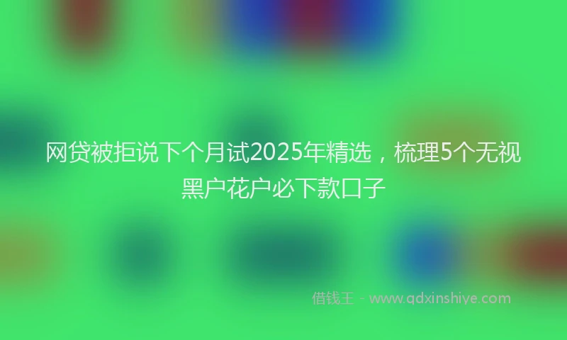 网贷被拒说下个月试2025年精选，梳理5个无视黑户花户必下款口子