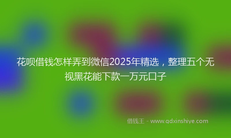 花呗借钱怎样弄到微信2025年精选，整理五个无视黑花能下款一万元口子