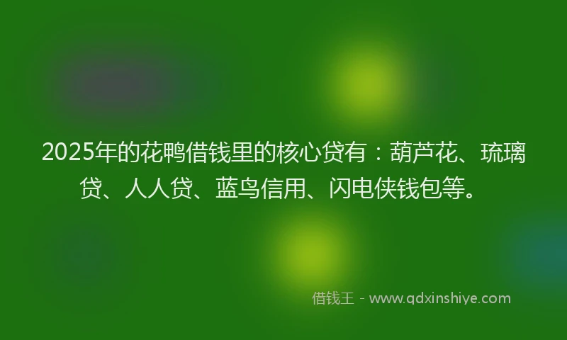 2025年的花鸭借钱里的核心贷有：葫芦花、琉璃贷、人人贷、蓝鸟信用、闪电侠钱包等。