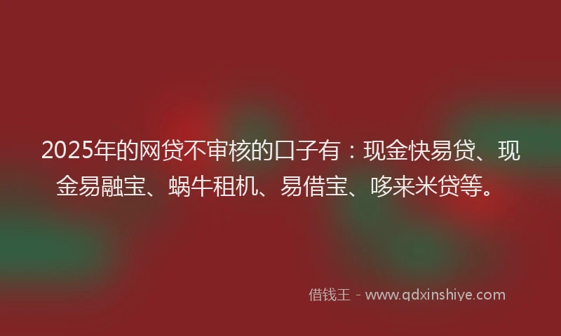 2025年的网贷不审核的口子有：现金快易贷、现金易融宝、蜗牛租机、易借宝、哆来米贷等。