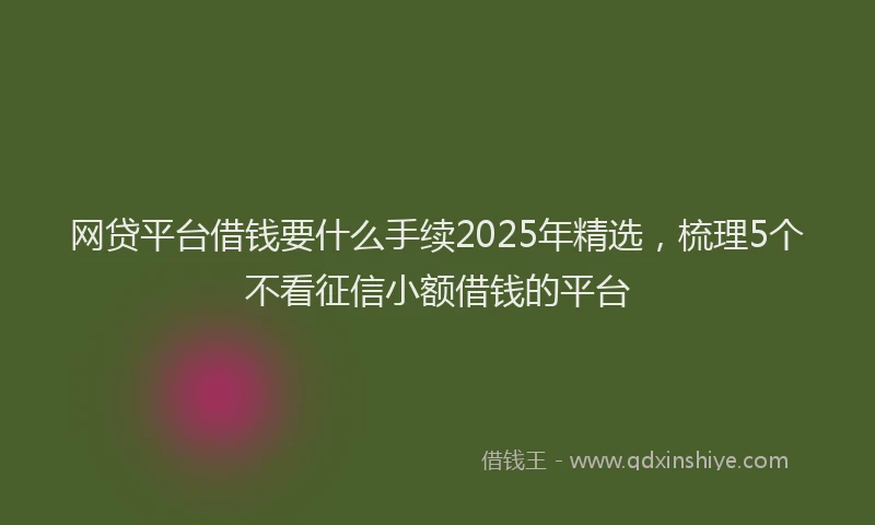 网贷平台借钱要什么手续2025年精选，梳理5个不看征信小额借钱的平台