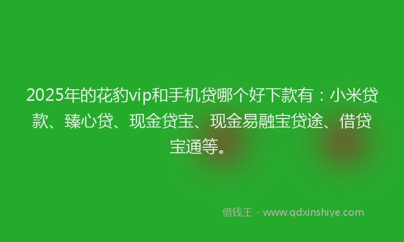 2025年的花豹vip和手机贷哪个好下款有：小米贷款、臻心贷、现金贷宝、现金易融宝贷途、借贷宝通等。