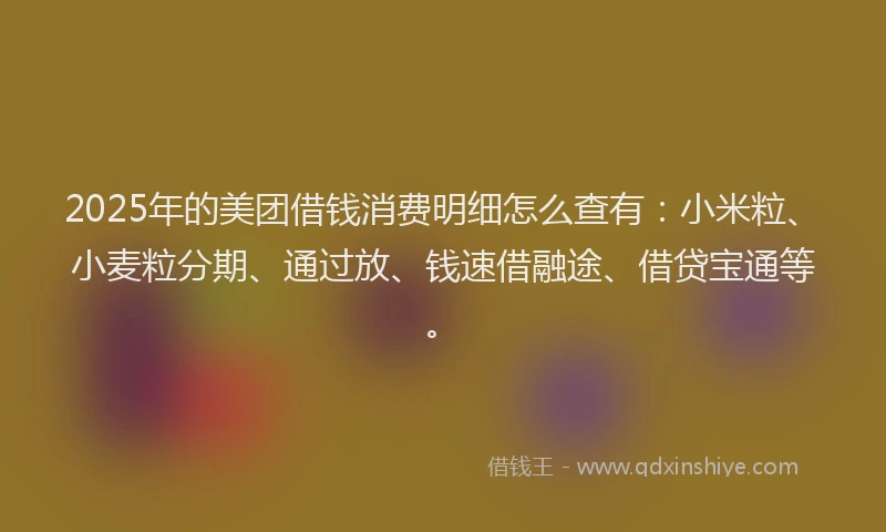 2025年的美团借钱消费明细怎么查有：小米粒、小麦粒分期、通过放、钱速借融途、借贷宝通等。
