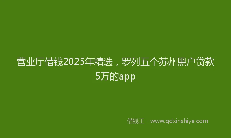 营业厅借钱2025年精选，罗列五个苏州黑户贷款5万的app