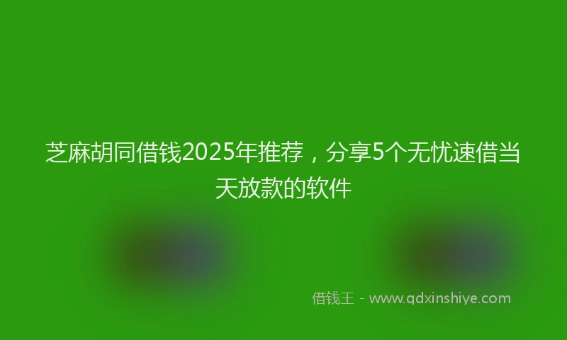 芝麻胡同借钱2025年推荐，分享5个无忧速借当天放款的软件