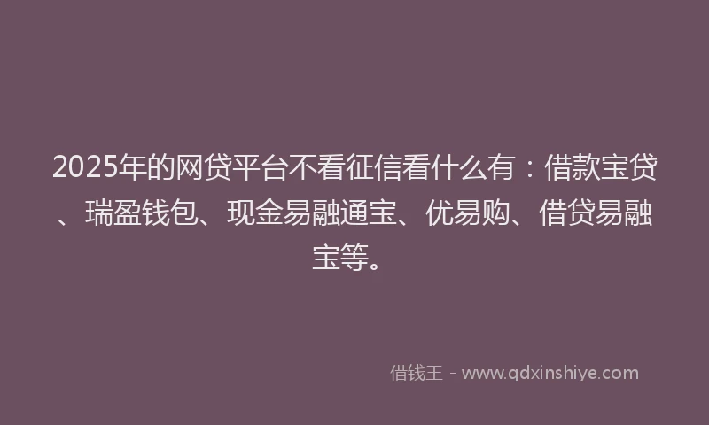 2025年的网贷平台不看征信看什么有：借款宝贷、瑞盈钱包、现金易融通宝、优易购、借贷易融宝等。