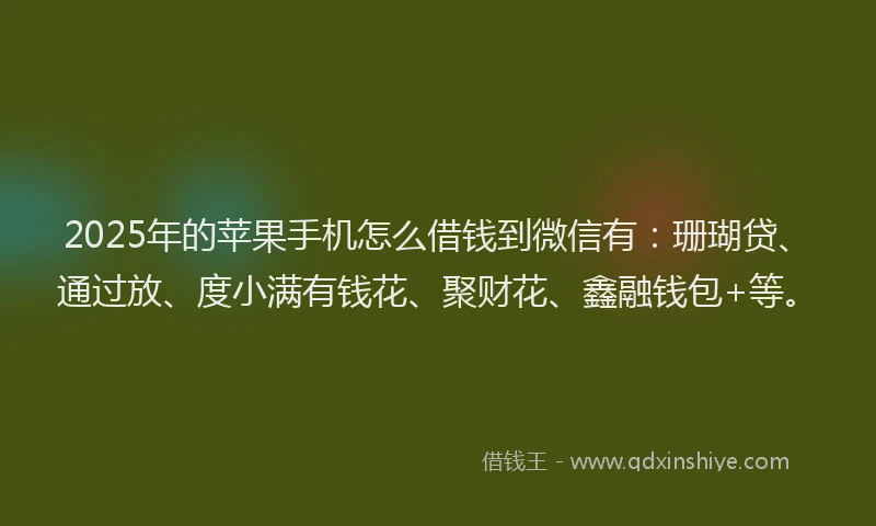 2025年的苹果手机怎么借钱到微信有：珊瑚贷、通过放、度小满有钱花、聚财花、鑫融钱包+等。