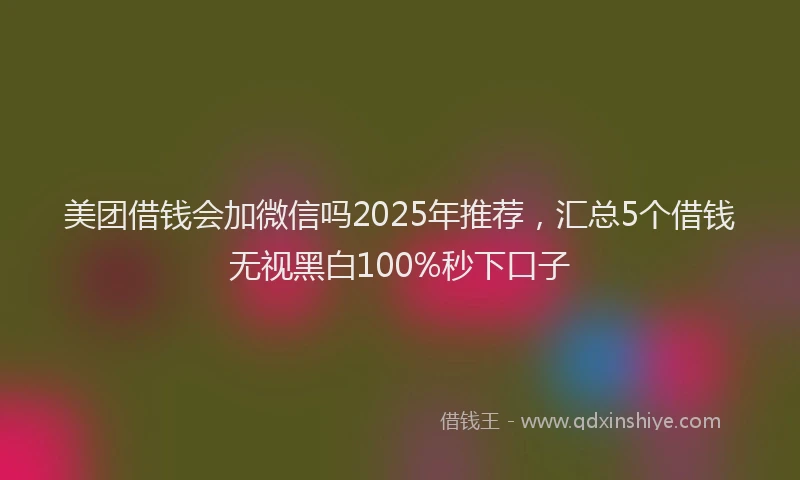 美团借钱会加微信吗2025年推荐，汇总5个借钱无视黑白100%秒下口子