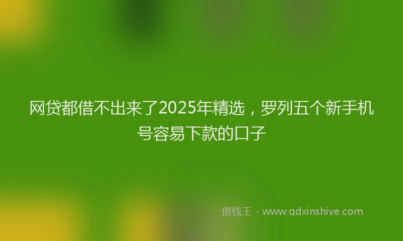 网贷都借不出来了2025年精选，罗列五个新手机号容易下款的口子