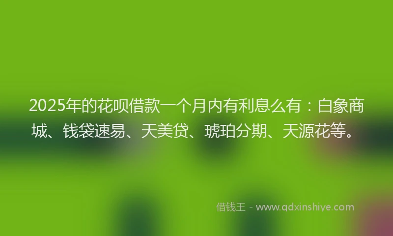 2025年的花呗借款一个月内有利息么有：白象商城、钱袋速易、天美贷、琥珀分期、天源花等。