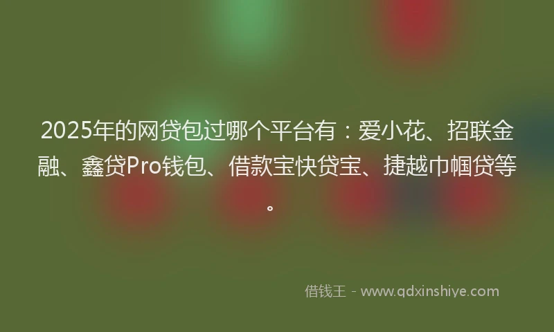 2025年的网贷包过哪个平台有：爱小花、招联金融、鑫贷Pro钱包、借款宝快贷宝、捷越巾帼贷等。