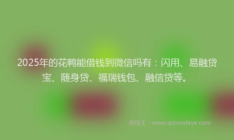 2025年的花鸭能借钱到微信吗有：闪用、易融贷宝、随身贷、福瑞钱包、融信贷等。