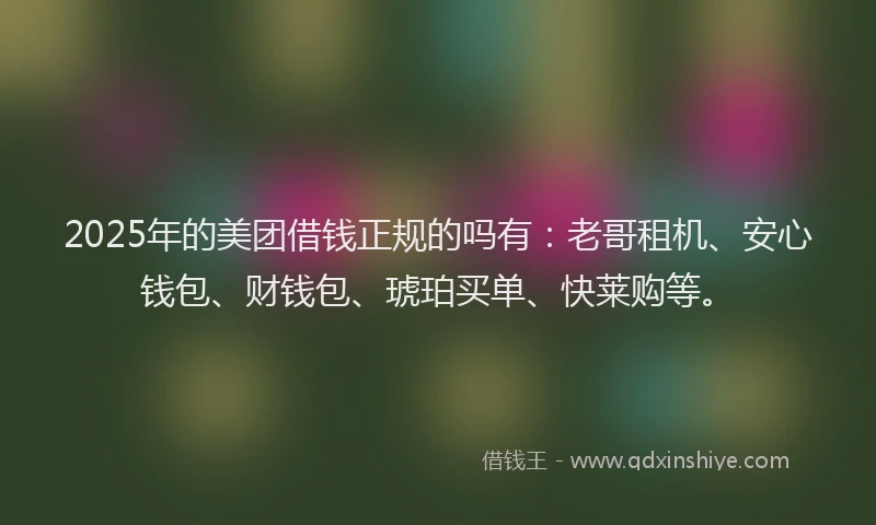 2025年的美团借钱正规的吗有：老哥租机、安心钱包、财钱包、琥珀买单、快莱购等。