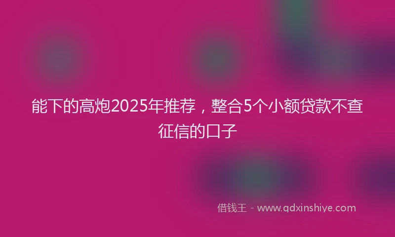 能下的高炮2025年推荐，整合5个小额贷款不查征信的口子