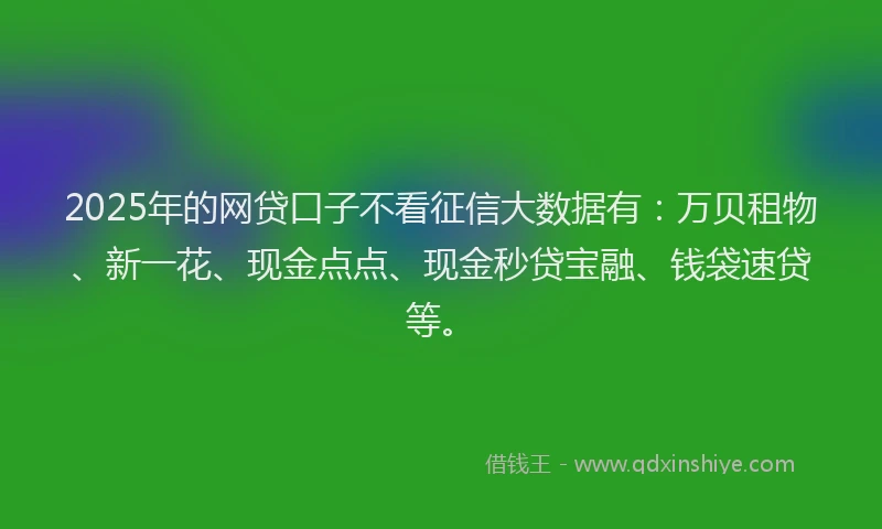 2025年的网贷口子不看征信大数据有：万贝租物、新一花、现金点点、现金秒贷宝融、钱袋速贷等。