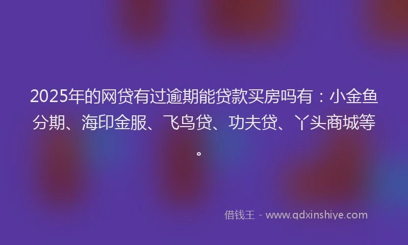 2025年的网贷有过逾期能贷款买房吗有：小金鱼分期、海印金服、飞鸟贷、功夫贷、丫头商城等。
