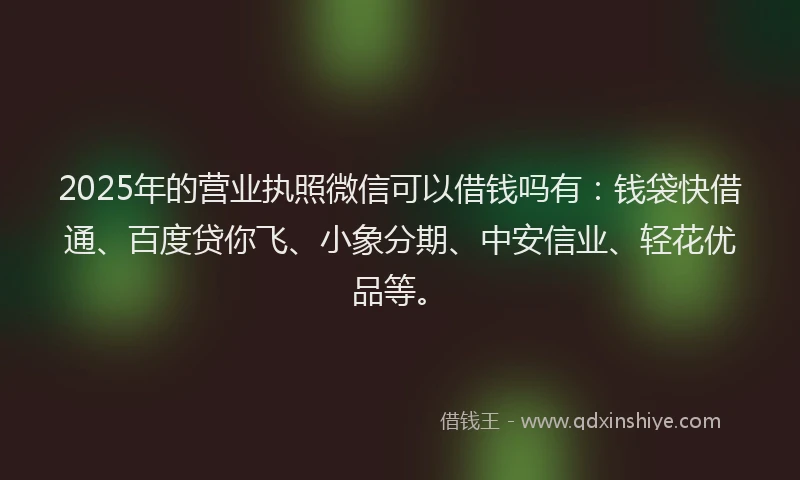 2025年的营业执照微信可以借钱吗有：钱袋快借通、百度贷你飞、小象分期、中安信业、轻花优品等。