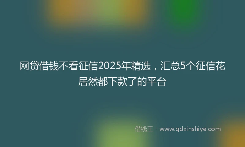 网贷借钱不看征信2025年精选，汇总5个征信花居然都下款了的平台