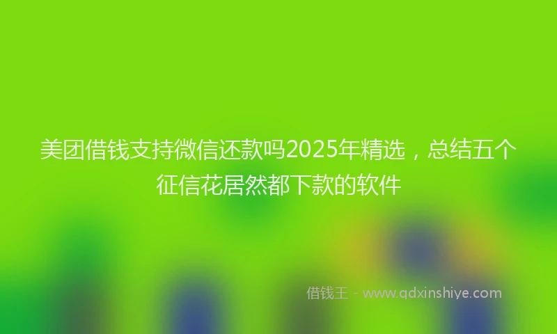 美团借钱支持微信还款吗2025年精选，总结五个征信花居然都下款的软件