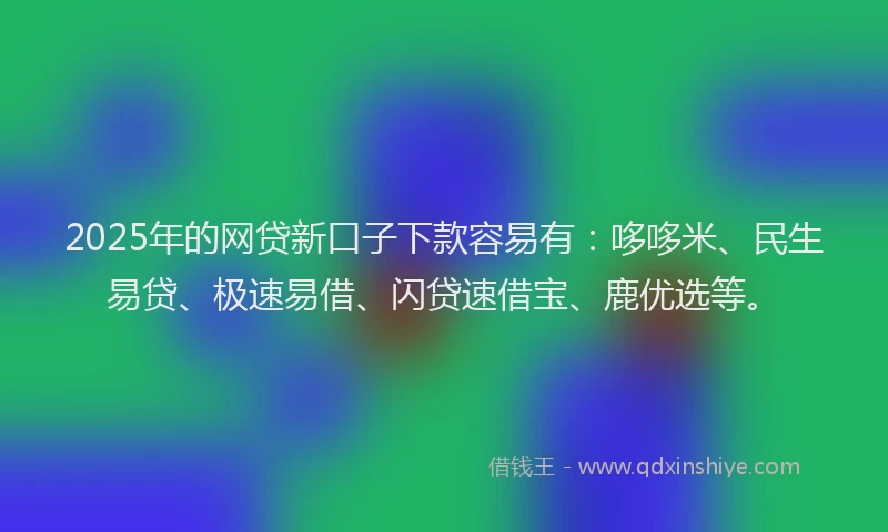 2025年的网贷新口子下款容易有：哆哆米、民生易贷、极速易借、闪贷速借宝、鹿优选等。