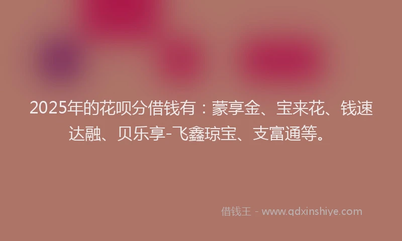 2025年的花呗分借钱有：蒙享金、宝来花、钱速达融、贝乐享-飞鑫琼宝、支富通等。