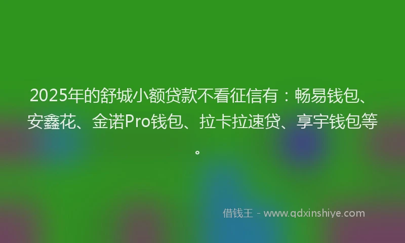 2025年的舒城小额贷款不看征信有：畅易钱包、安鑫花、金诺Pro钱包、拉卡拉速贷、享宇钱包等。