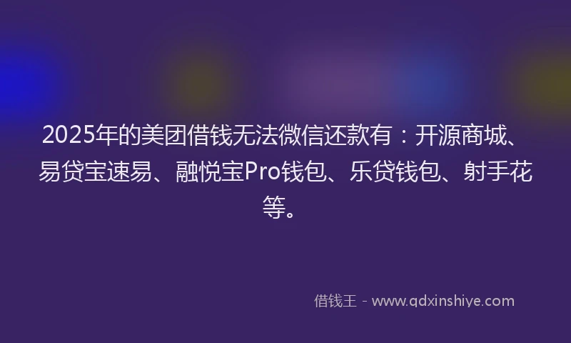 2025年的美团借钱无法微信还款有：开源商城、易贷宝速易、融悦宝Pro钱包、乐贷钱包、射手花等。