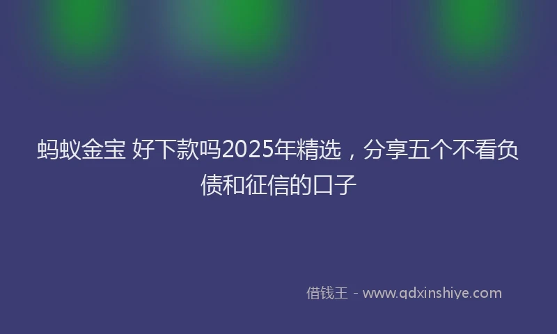 蚂蚁金宝 好下款吗2025年精选，分享五个不看负债和征信的口子