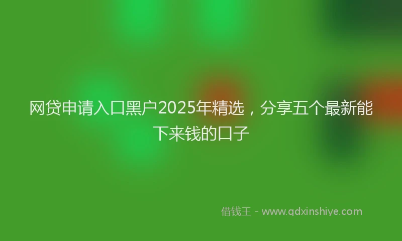 网贷申请入口黑户2025年精选，分享五个最新能下来钱的口子
