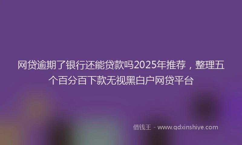 网贷逾期了银行还能贷款吗2025年推荐，整理五个百分百下款无视黑白户网贷平台