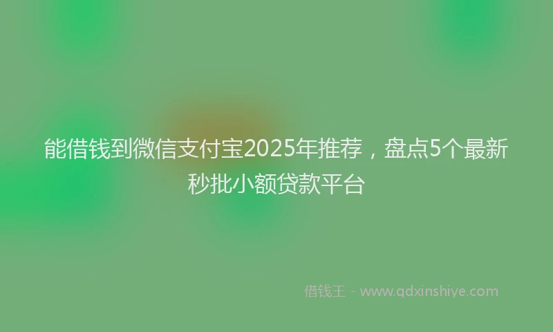 能借钱到微信支付宝2025年推荐，盘点5个最新秒批小额贷款平台