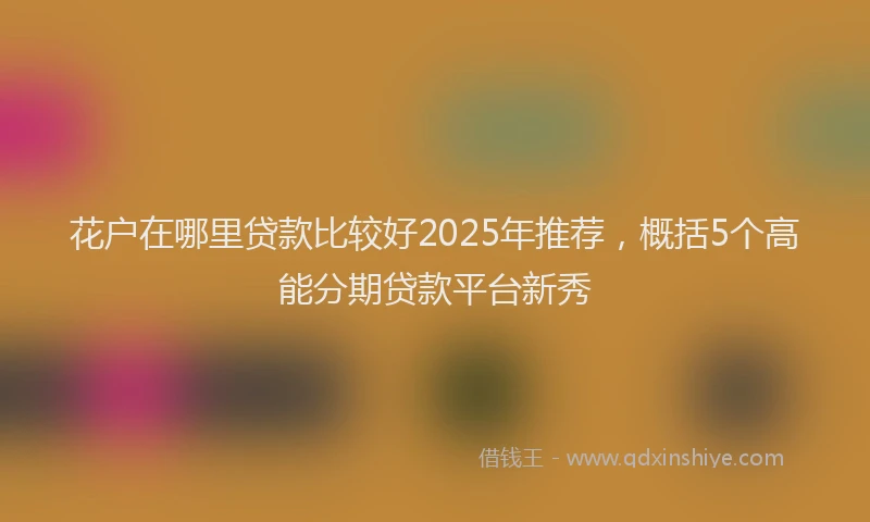 花户在哪里贷款比较好2025年推荐，概括5个高能分期贷款平台新秀