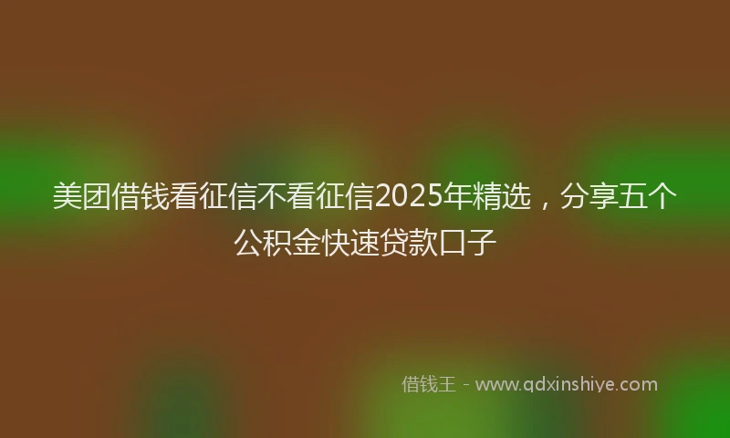 美团借钱看征信不看征信2025年精选，分享五个公积金快速贷款口子