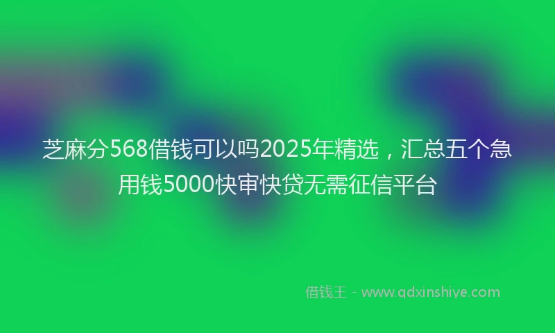 芝麻分568借钱可以吗2025年精选，汇总五个急用钱5000快审快贷无需征信平台
