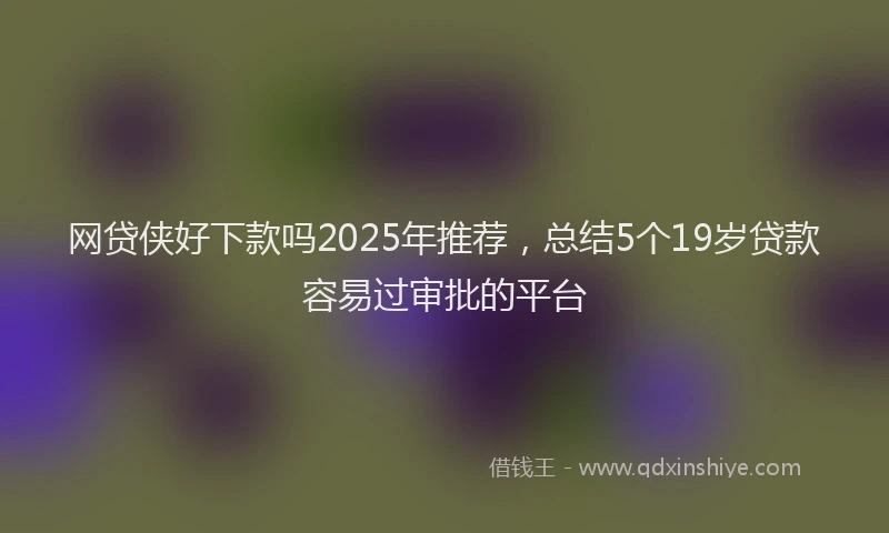网贷侠好下款吗2025年推荐，总结5个19岁贷款容易过审批的平台