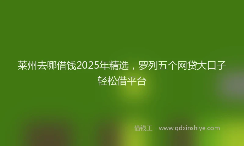莱州去哪借钱2025年精选，罗列五个网贷大口子轻松借平台