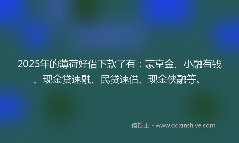 2025年的薄荷好借下款了有：蒙享金、小融有钱、现金贷速融、民贷速借、现金侠融等。
