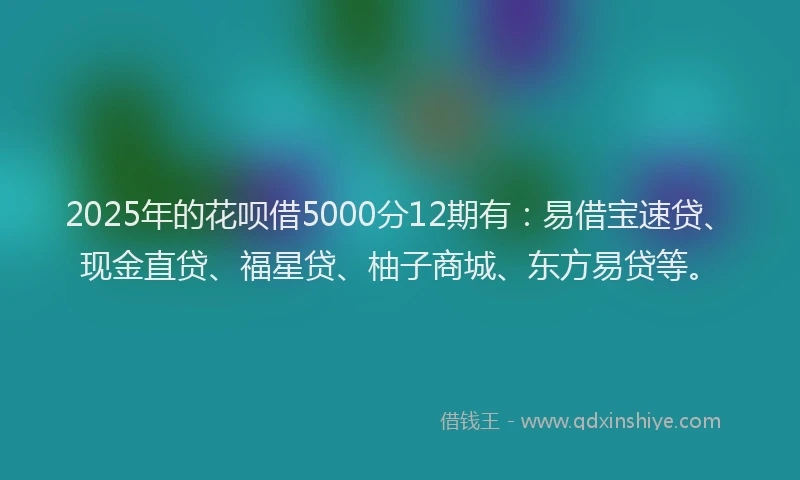 2025年的花呗借5000分12期有：易借宝速贷、现金直贷、福星贷、柚子商城、东方易贷等。