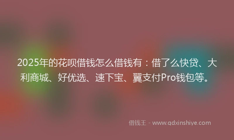 2025年的花呗借钱怎么借钱有：借了么快贷、大利商城、好优选、速下宝、翼支付Pro钱包等。