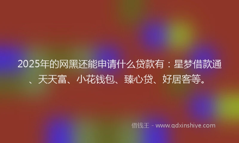 2025年的网黑还能申请什么贷款有：星梦借款通、天天富、小花钱包、臻心贷、好居客等。