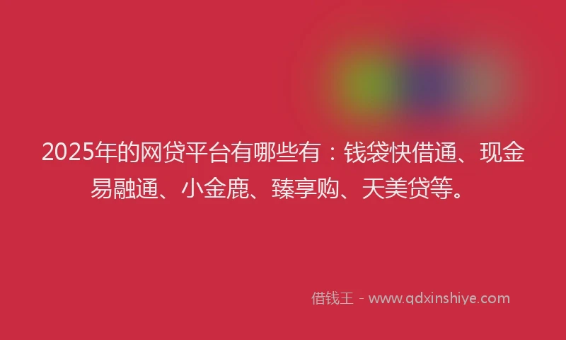 2025年的网贷平台有哪些有：钱袋快借通、现金易融通、小金鹿、臻享购、天美贷等。
