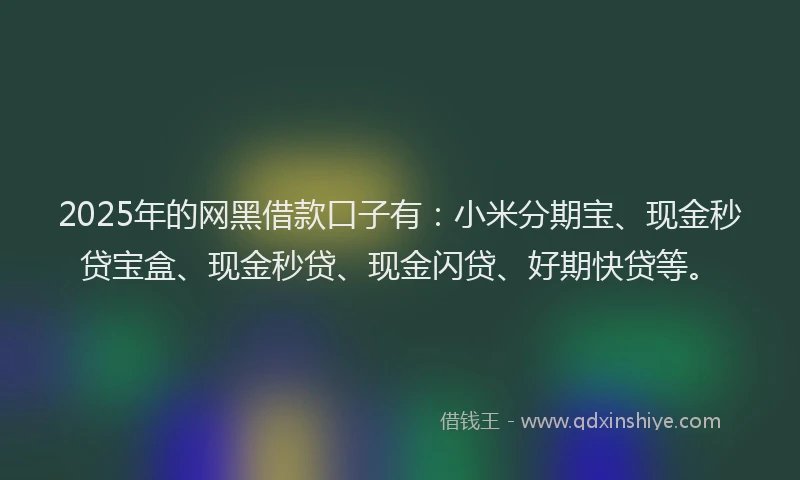 2025年的网黑借款口子有：小米分期宝、现金秒贷宝盒、现金秒贷、现金闪贷、好期快贷等。