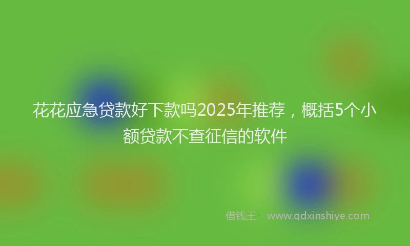 花花应急贷款好下款吗2025年推荐，概括5个小额贷款不查征信的软件